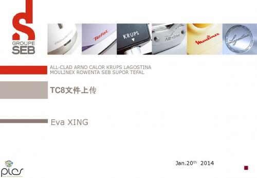 TC8 文件上传