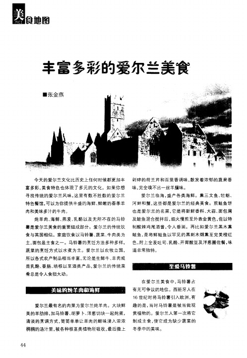 丰富多彩的爱尔兰美食