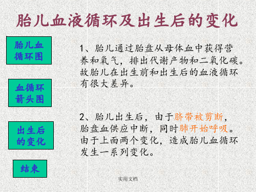 胎儿循环图解