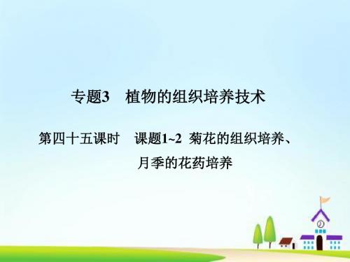 高考生物一轮总复习 第四十五课时 课题1~2菊花的组织培养课件 新人教版选修1