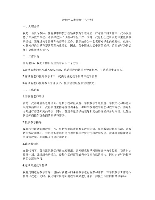 教师个人老带新工作计划