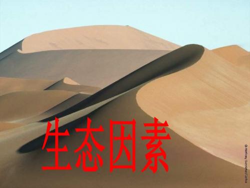 高二生物生态因素