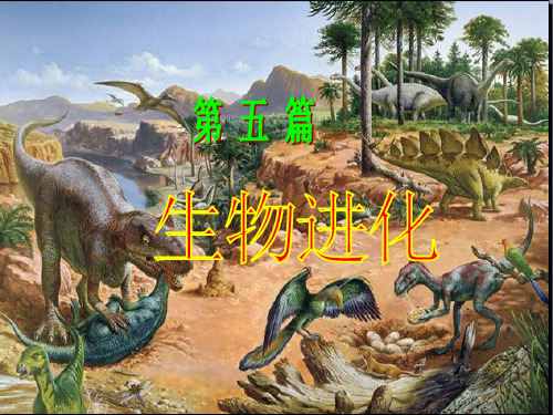 《达尔文与微进化》PPT课件