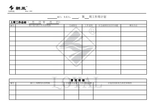 周报表格式(修改版)