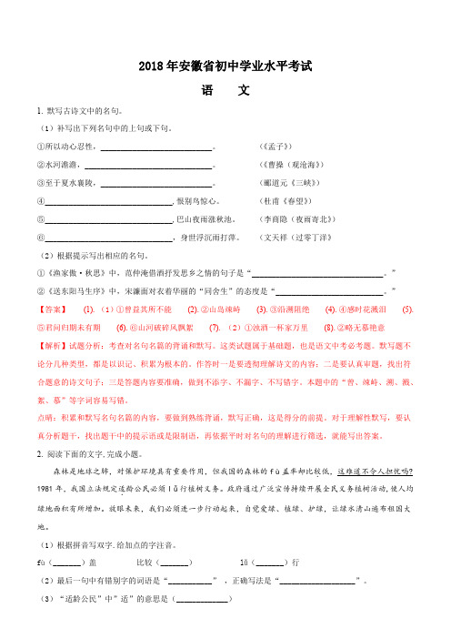 2018年安徽省初中学业水平考试语文试题含答案解析