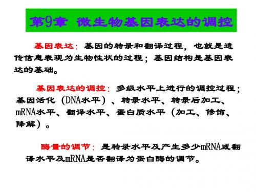 微生物基因表达的调控