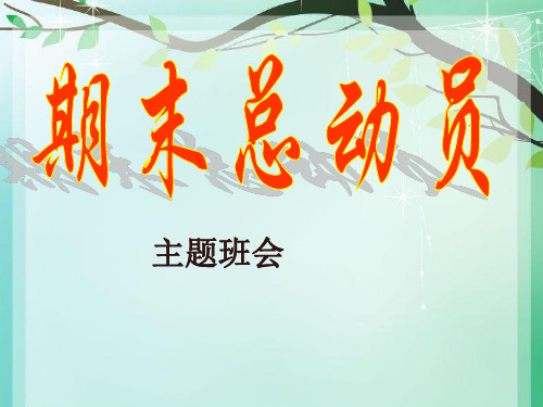 [九年级《期末总动员》主题学习班会学习课件.ppt