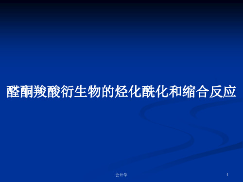 醛酮羧酸衍生物的烃化酰化和缩合反应PPT教案