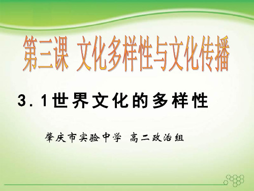 高中政治必修三课件：3.1世界文化的多样性