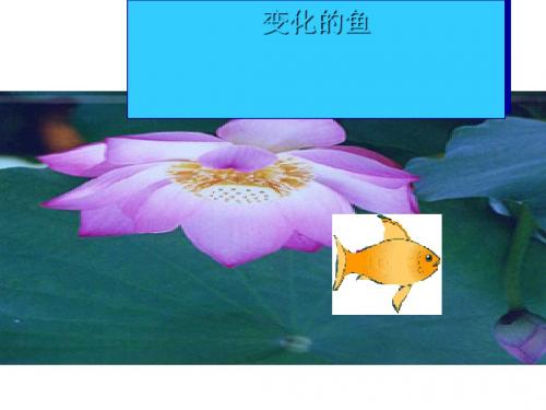 变化的鱼ppt1 北师大版