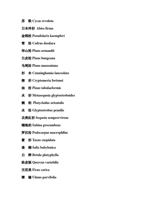 常用植物拉丁名