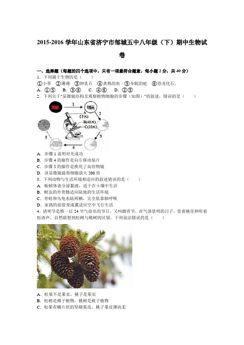 山东省济宁市邹城五中2015-2016学年八年级(下)期中生物试卷(解析版)