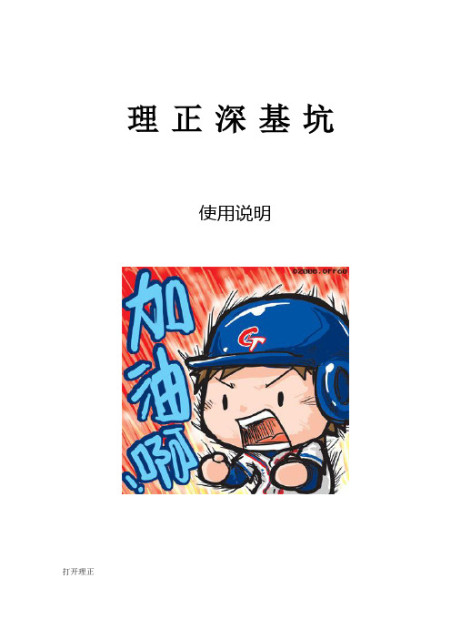 理正深基坑使用说明(经典)