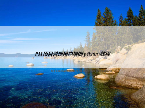 PM项目管理用户培训教程