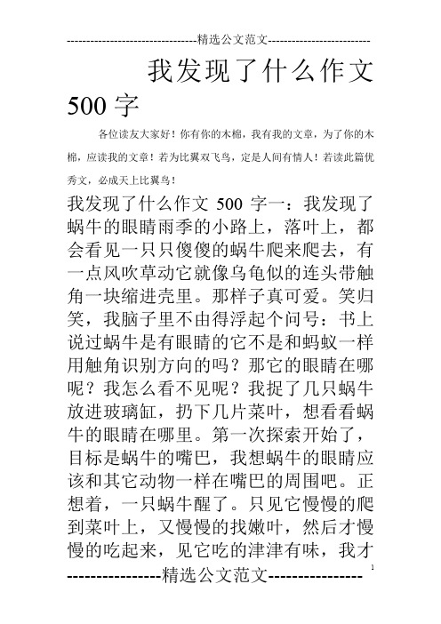 我发现了什么作文500字