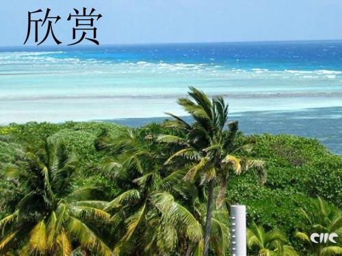 人教版六年级上册第7课《彩色的翅膀》课件