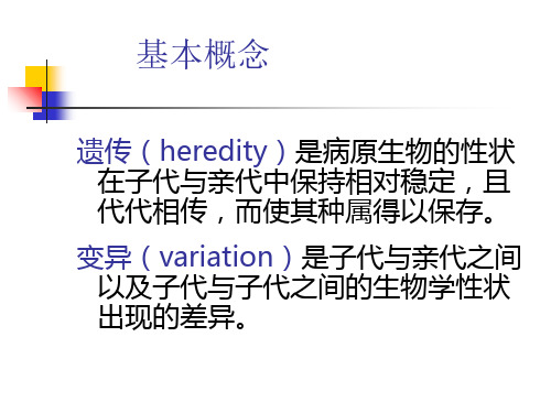 (完整)细菌的遗传与变异(1)精品PPT资料精品PPT资料