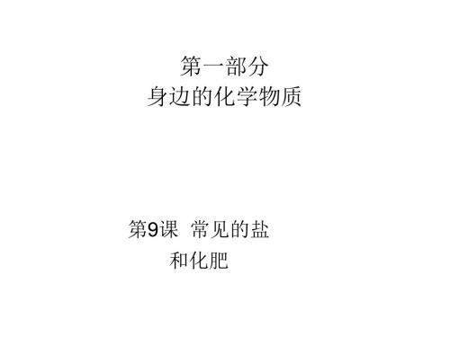 2016广东中考化学复习宝典 第9课  常见的盐和化肥 课件(17张)
