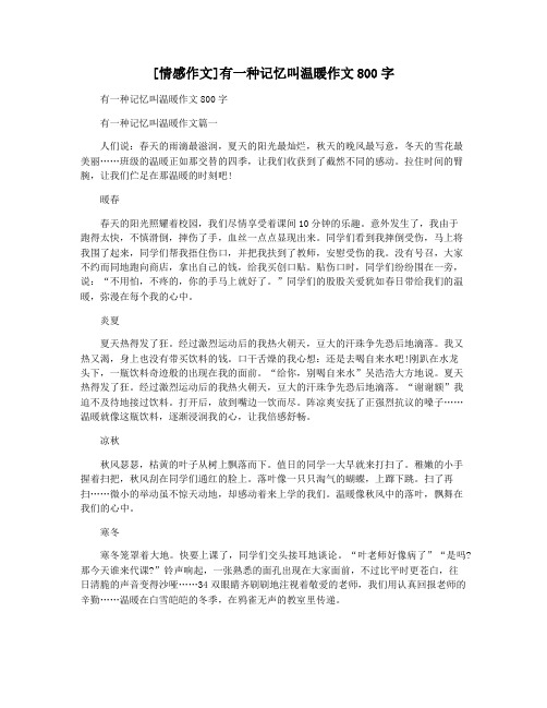 [情感作文]有一种记忆叫温暖作文800字