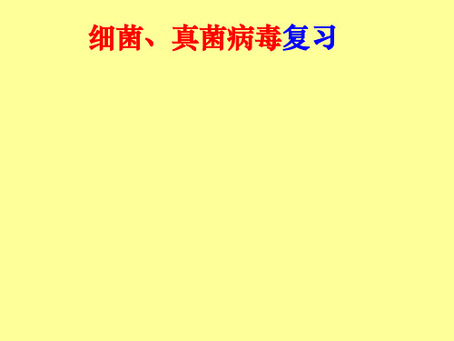 细菌、真菌、病毒(复习)ppt课件