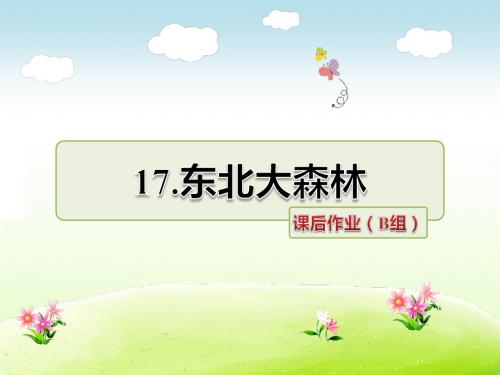 冀教版四年级语文下册 17.东北大森林 课后作业(B组-提升篇)【新版】