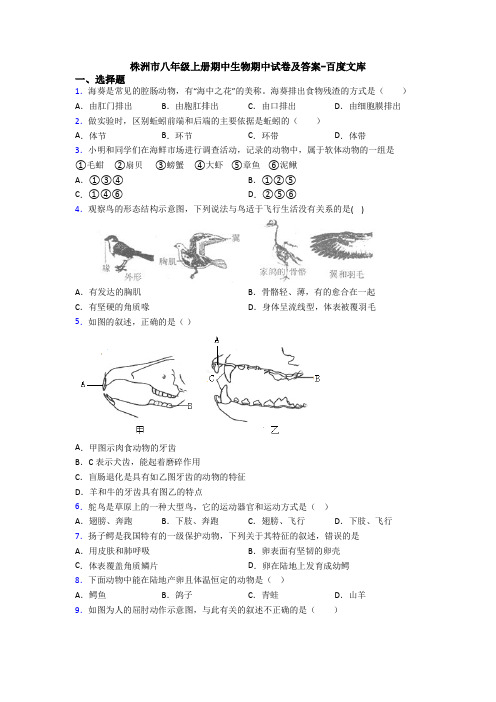 株洲市八年级上册期中生物期中试卷及答案-百度文库