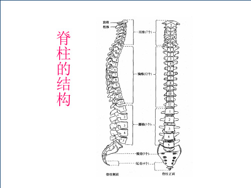 脊髓损伤的康复评定