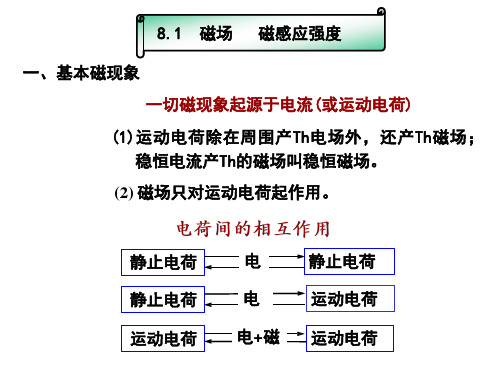 恒定磁场教案