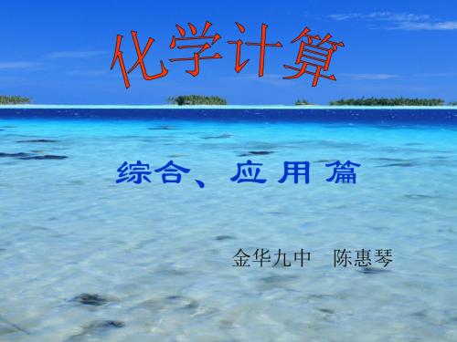 化学计算综合应用篇幻灯片