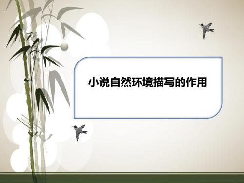 小说自然环境描写的作用