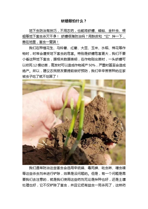 蛴螬最怕什么？