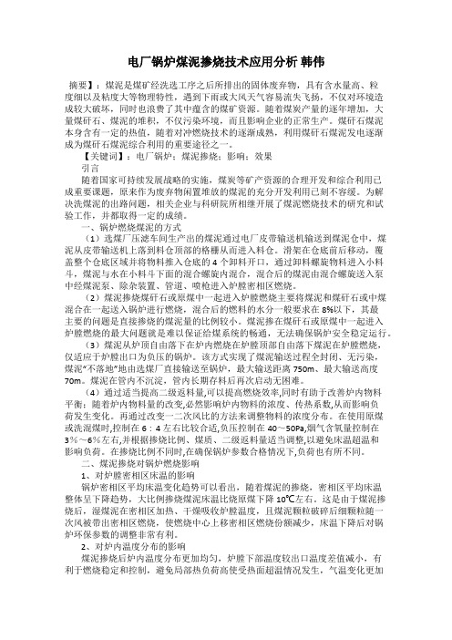 电厂锅炉煤泥掺烧技术应用分析 韩伟