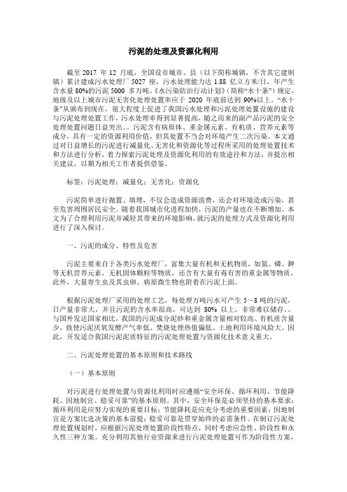 污泥的处理及资源化利用