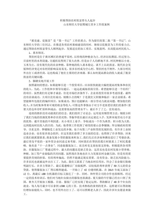 农村扶贫案例