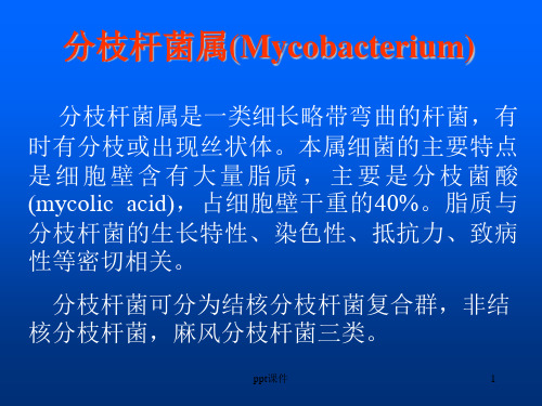结核分枝杆菌  ppt课件