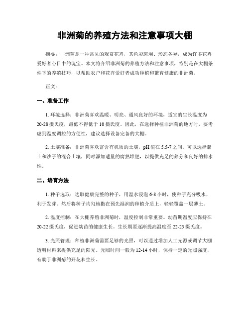 非洲菊的养殖方法和注意事项大棚