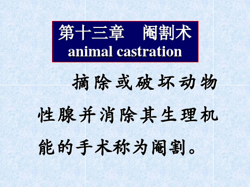第十三章 阉割术animal castration