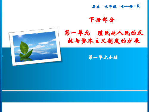 人教版  历史 九年级 全 下册 第1单元  殖民地人民的反抗与资本主义制度的扩展   小结