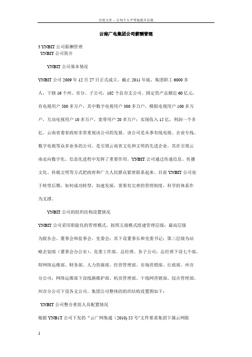 云南广电集团公司薪酬管理