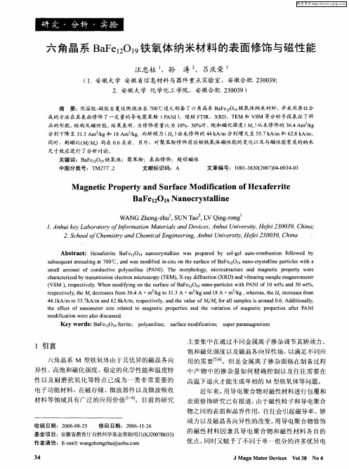 六角晶系BaFe12O19铁氧体纳米材料的表面修饰与磁性能