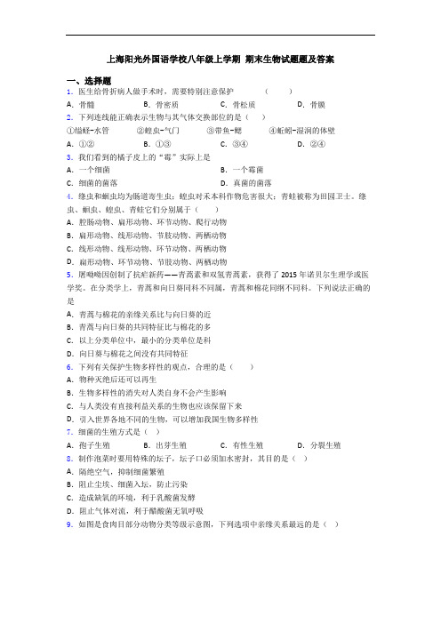 上海阳光外国语学校八年级上学期 期末生物试题题及答案
