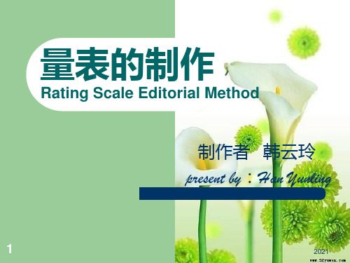 量表的制作PPT课件