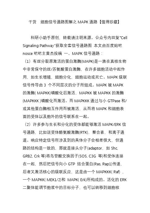 干货  细胞信号通路图解之MAPK通路【值得珍藏】