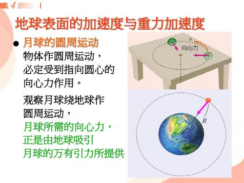物理：地球表面的重力与重力加速度
