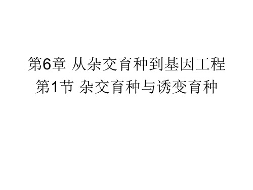 61 杂交育种与诱变育种精品PPT课件