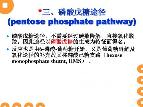 6第六章3 糖类代谢