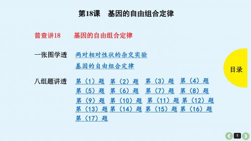 高中生物高考高考生物(全国版)一轮复习课件：第18课-基因的自由组合定律(共102张PPT)