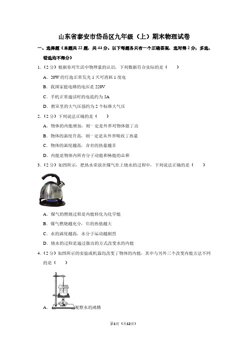 山东省泰安市岱岳区九年级(上)期末物理试卷
