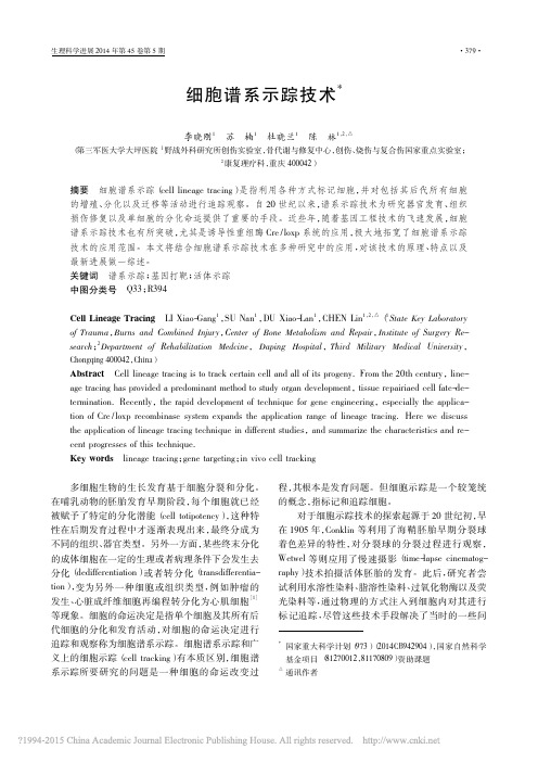 细胞谱系示踪技术_李晓刚