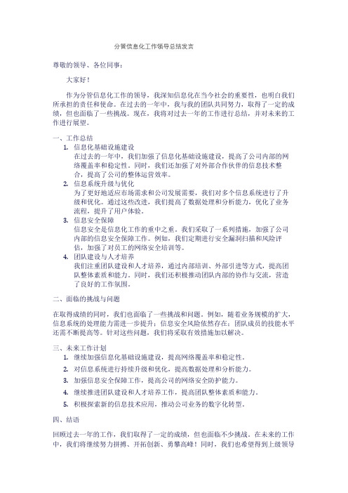 分管信息化工作领导总结发言